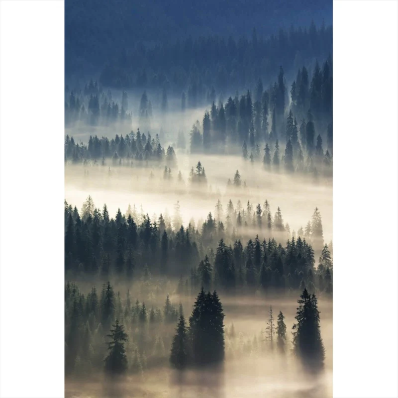 Leinwandbild Wald im Nebel Hochformat