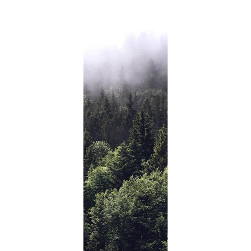 Spannrahmenbild Wald am Morgen Panorama Hoch