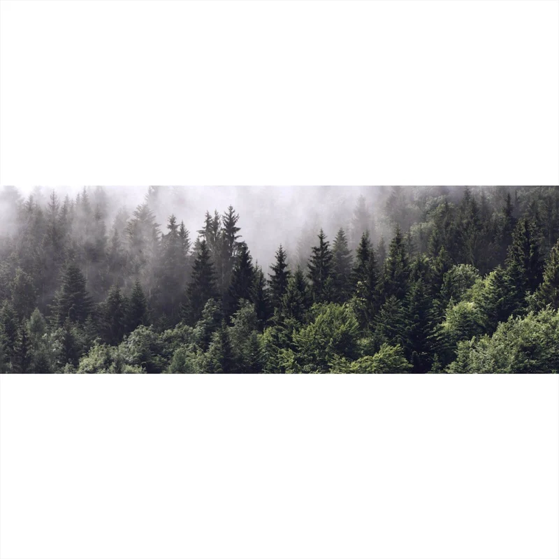 Spannrahmenbild Wald am Morgen Panorama