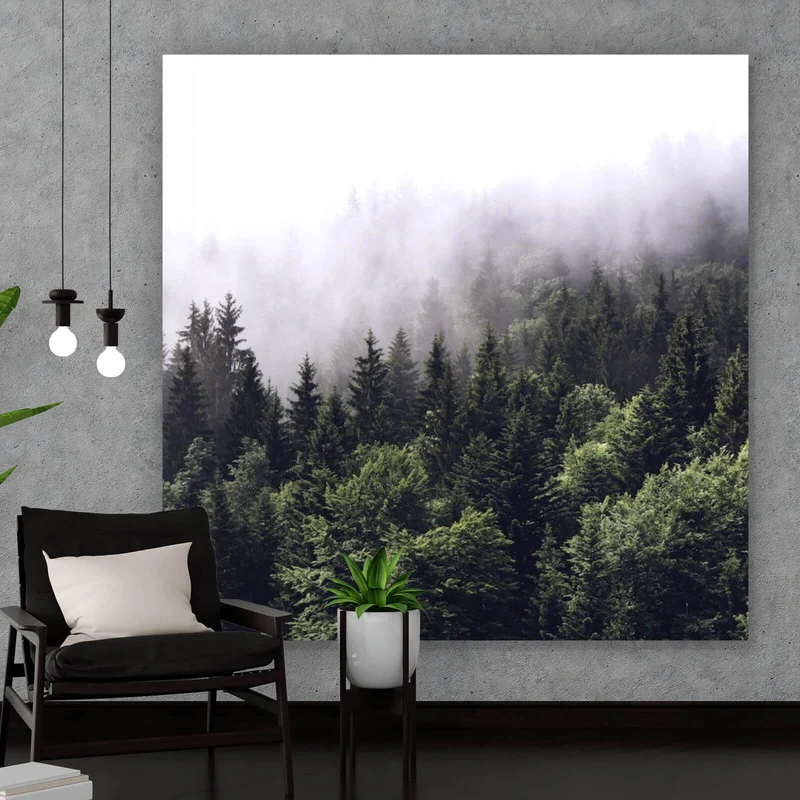 Leinwandbild Wald am Morgen Quadrat