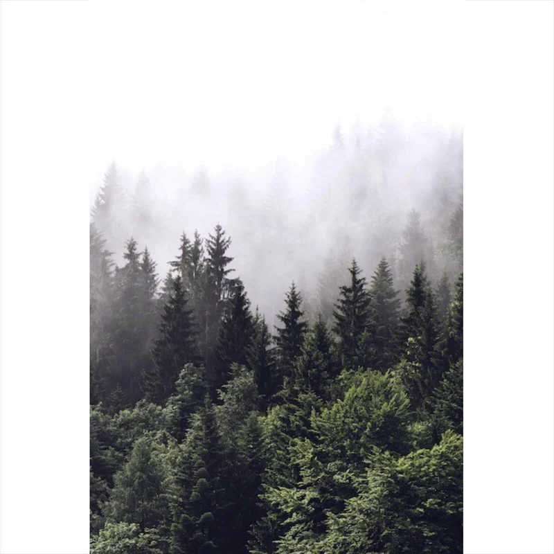 Aluminiumbild gebürstet Wald am Morgen Hochformat