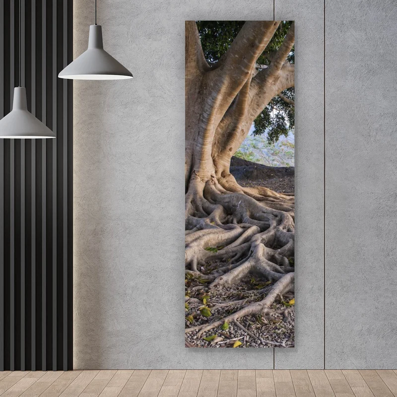 Acrylglasbild Alter Baum mit Wurzeln Panorama Hoch
