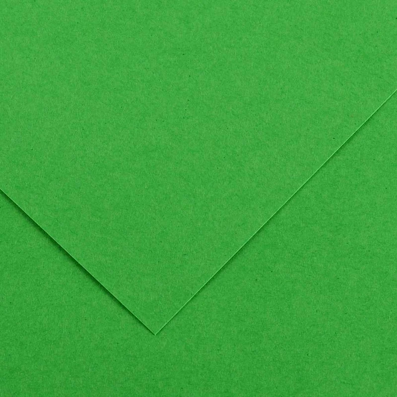 CANSON Iris Vivaldi carta colorata 70 x 100 cm 240 g 25 fg