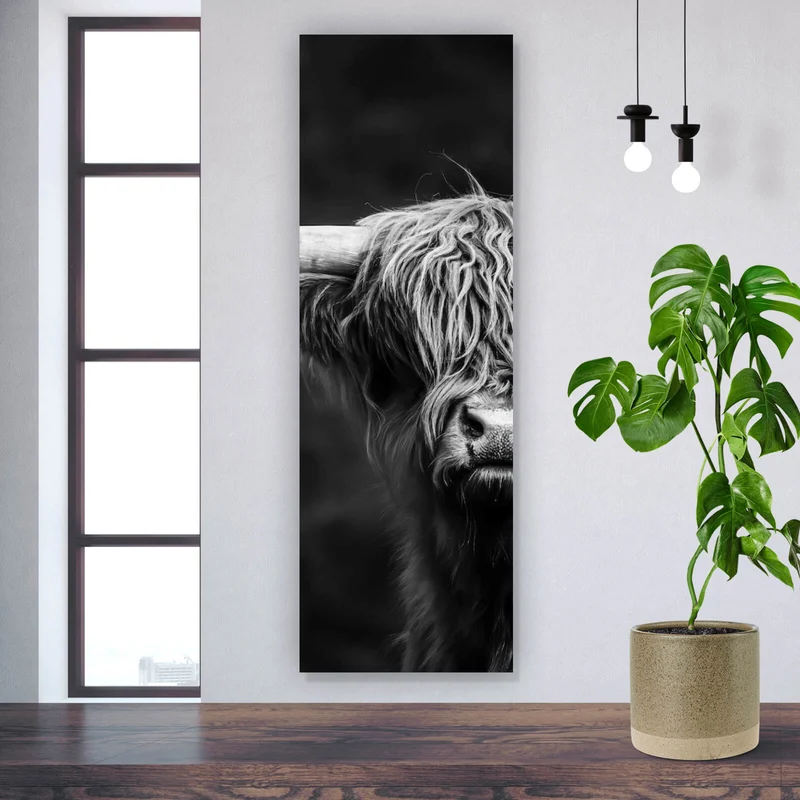 Acrylglasbild Highland Rind Schwarz-Weiß Panorama Hoch