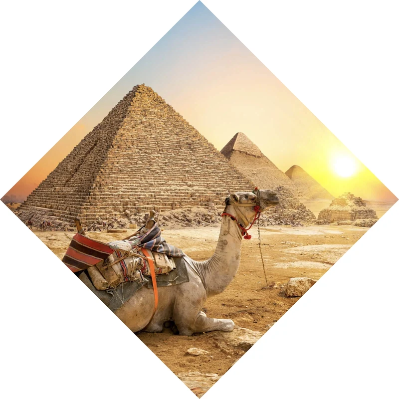 Acrylglasbild Sonnenuntergang über Pyramiden mit ruhendem Kamel Raute