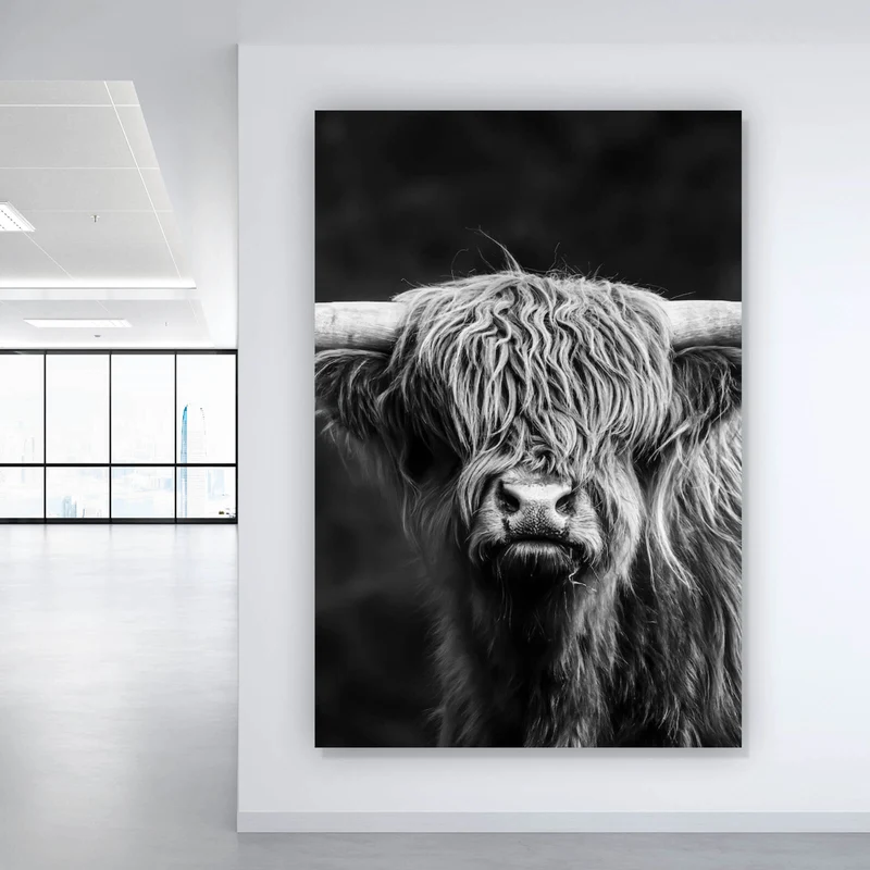 Poster Highland Rind Schwarz-Weiß Hochformat