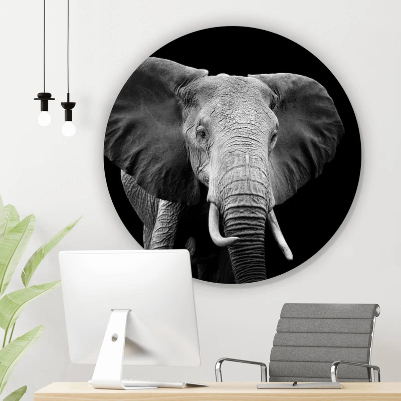 Aluminiumbild gebürstet Elefant Schwarz Weiß Kreis