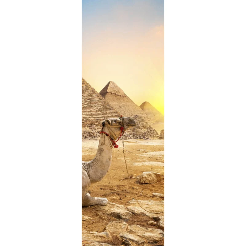 Aluminiumbild gebürstet Sonnenuntergang über Pyramiden mit ruhendem Kamel Panorama Hoch
