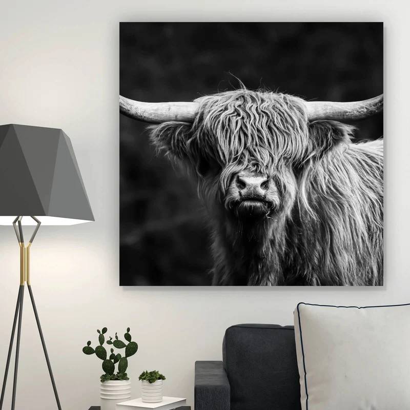 Poster Highland Rind Schwarz-Weiß Quadrat