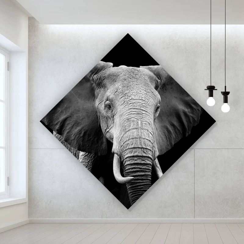 Leinwandbild Elefant Schwarz Weiß Raute