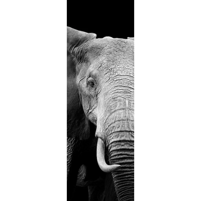 Acrylglasbild Elefant Schwarz Weiß Panorama Hoch