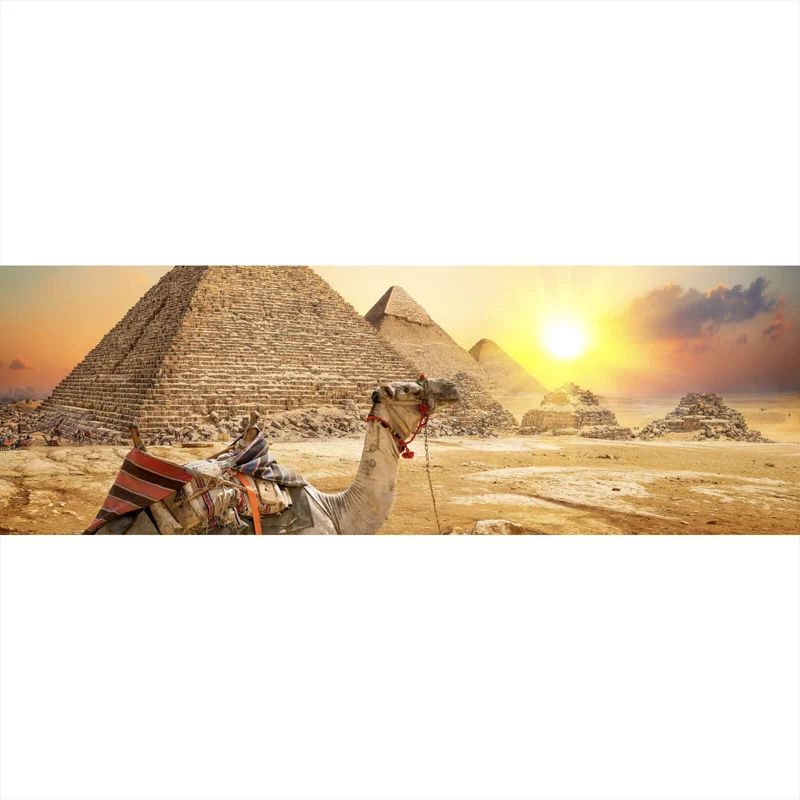 Leinwandbild Sonnenuntergang über Pyramiden mit ruhendem Kamel Panorama
