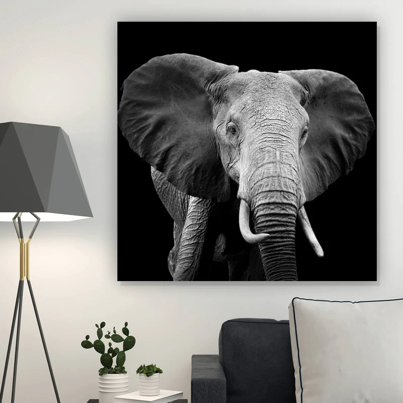 Acrylglasbild Elefant Schwarz Weiß Quadrat