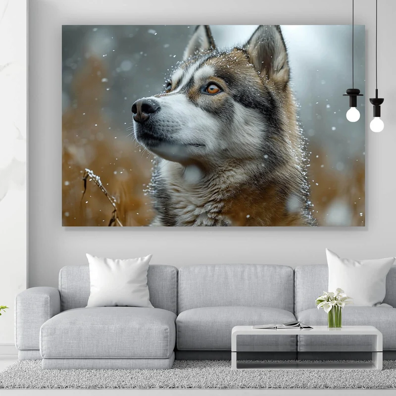 Acrylglasbild Wolf schaut aufmerksam im winterlichen Schneefall Querformat