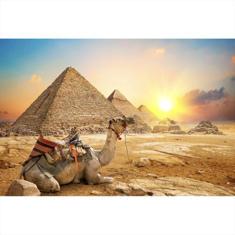 Poster Sonnenuntergang über Pyramiden mit ruhendem Kamel Querformat