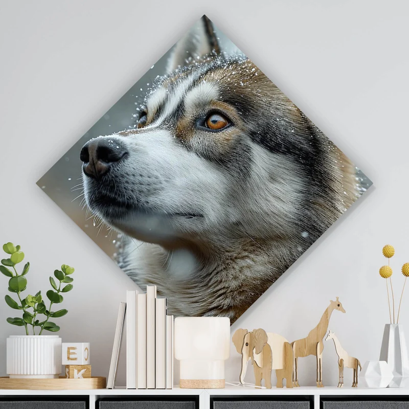 Spannrahmenbild Wolf schaut aufmerksam im winterlichen Schneefall Raute