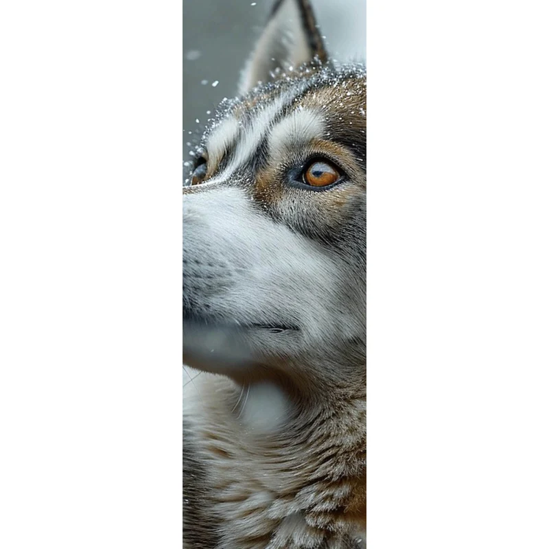 Poster Wolf schaut aufmerksam im winterlichen Schneefall Panorama Hoch