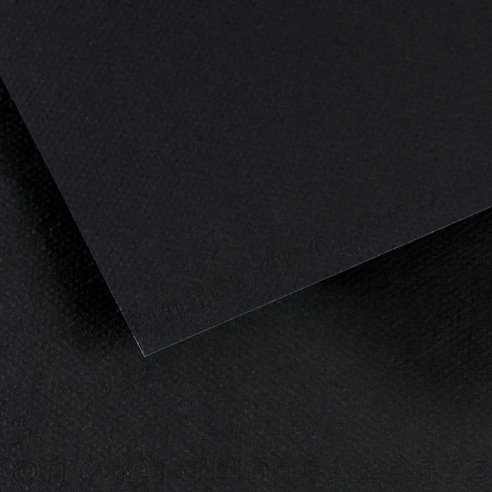 Canson Mi-Teintes papier na pastel 50 x 65 cm 160 g 25H
