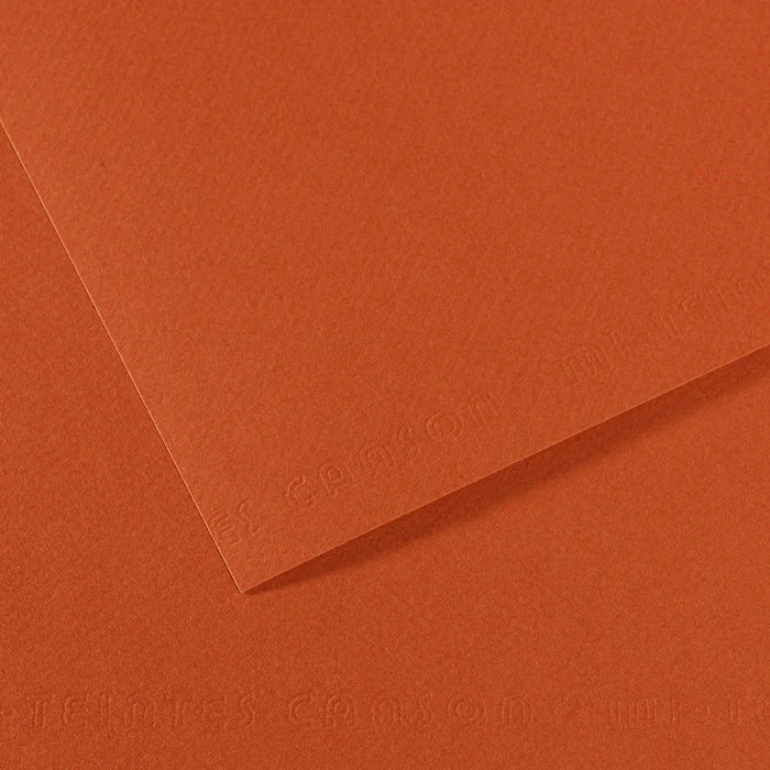 Canson Mi-Teintes papier na pastel 50 x 65 cm 160 g 25H