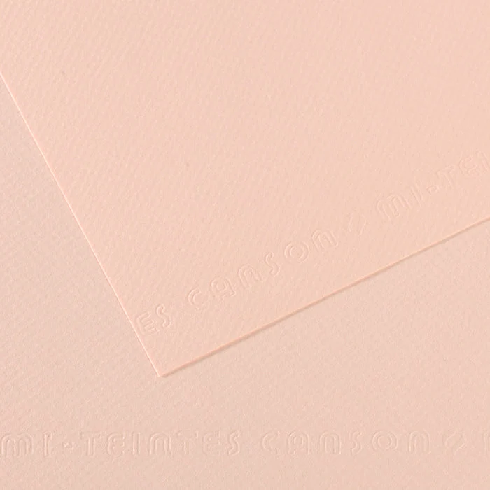 Canson Mi-Teintes papier na pastel 50 x 65 cm 160 g 25H