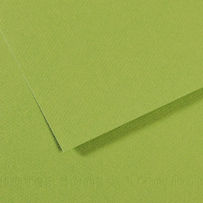 Canson Mi-Teintes papier na pastel 50 x 65 cm 160 g 25H