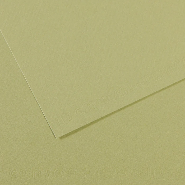 Canson Mi-Teintes papier na pastel 50 x 65 cm 160 g 25H
