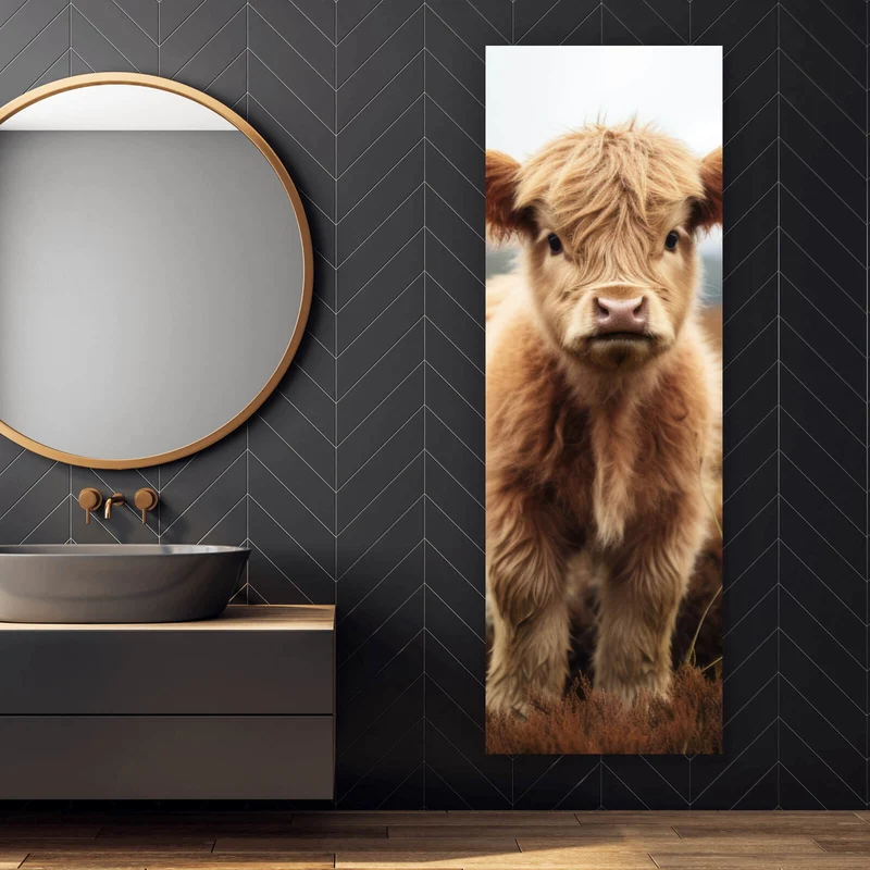 Aluminiumbild gebürstet Flauschiges Highland Kalb auf der Weide Panorama Hoch