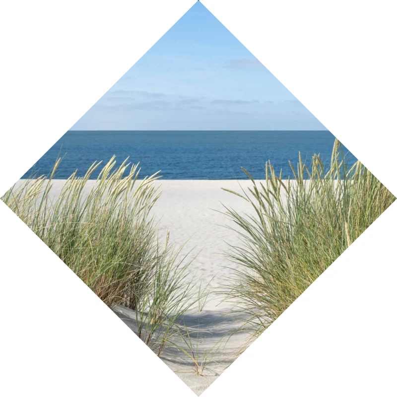 Aluminiumbild Dünen an der Nordsee Raute
