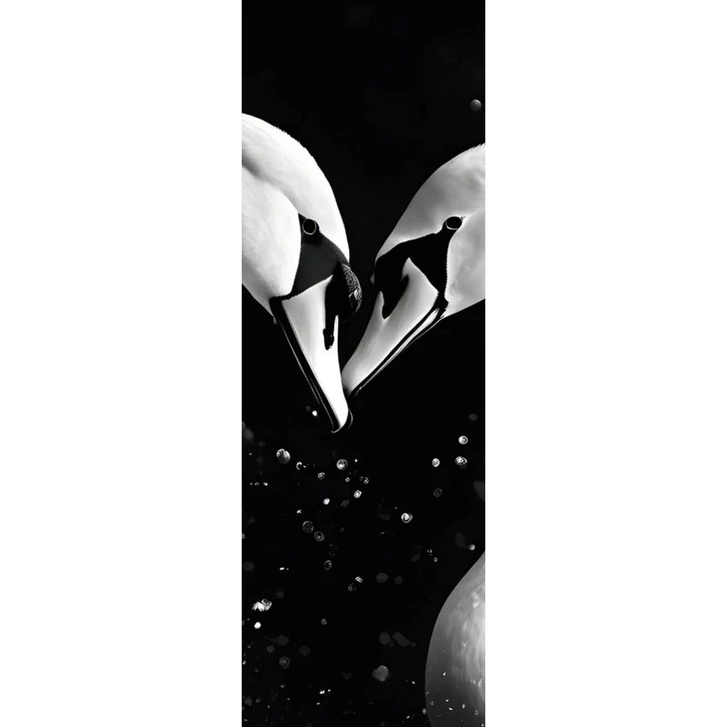 Aluminiumbild Elegante Schwäne formen Herzbild Panorama Hoch