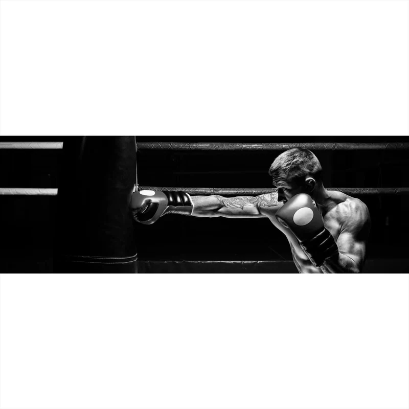 Poster Boxer im Training Schwarz Weiß Panorama