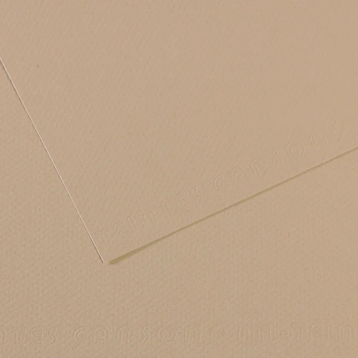 Canson Mi-Teintes Pastellpapier 50 x 65 cm 160 g 25 Blatt