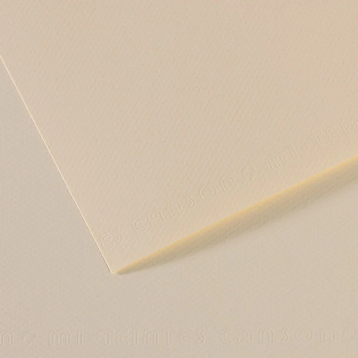 Canson Mi-Teintes Pastellpapier 50 x 65 cm 160 g 25 Blatt