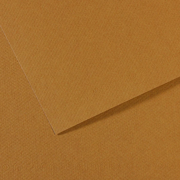 Canson Mi-Teintes carta per pastello 50 x 65 cm 160 g 25 fg