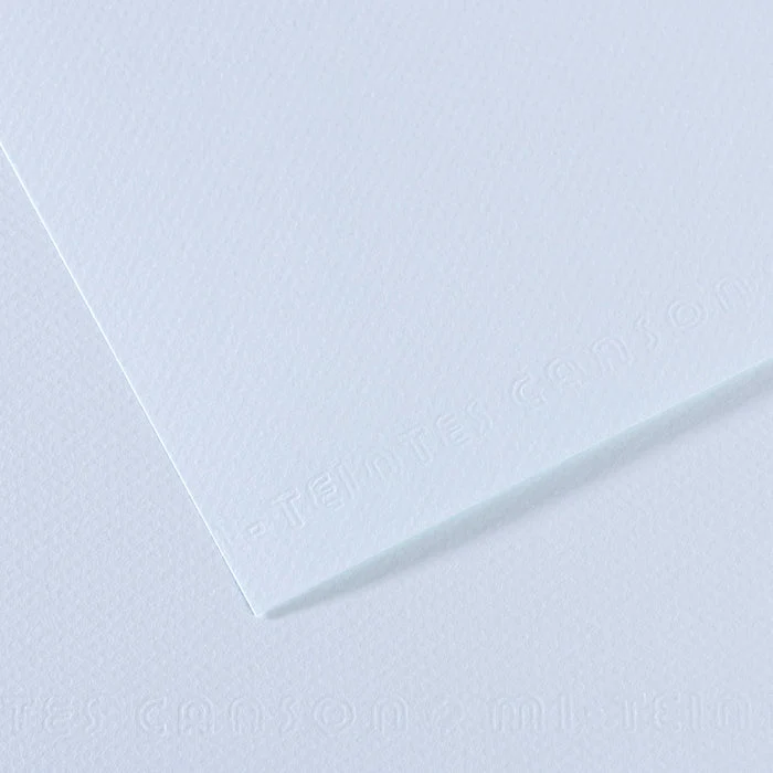Canson Mi-Teintes carta per pastello 50 x 65 cm 160 g 25 fg