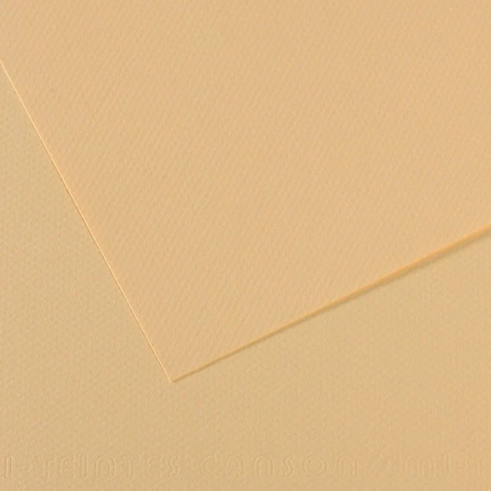 Canson Mi-Teintes carta per pastello 50 x 65 cm 160 g 25 fg
