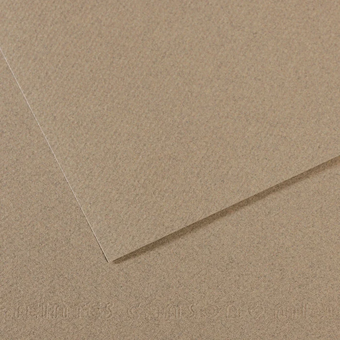Canson Mi-Teintes carta per pastello 50 x 65 cm 160 g 25 fg
