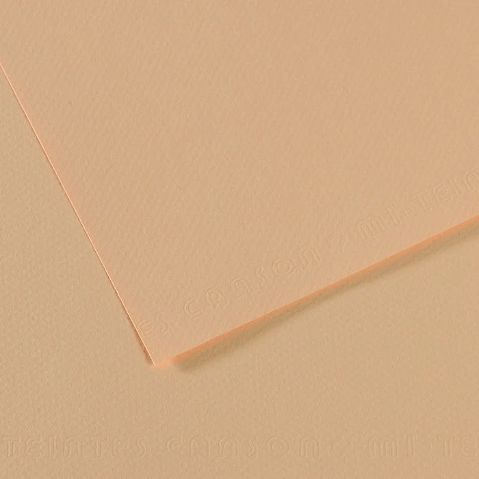 Canson Mi-Teintes carta per pastello 50 x 65 cm 160 g 25 fg