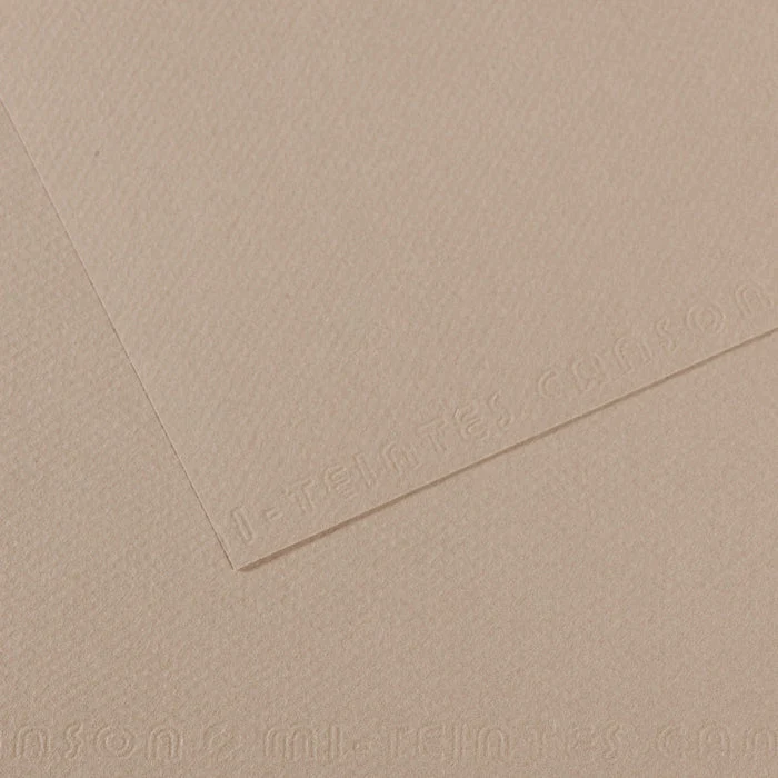 Canson Mi-Teintes carta per pastello 50 x 65 cm 160 g 25 fg