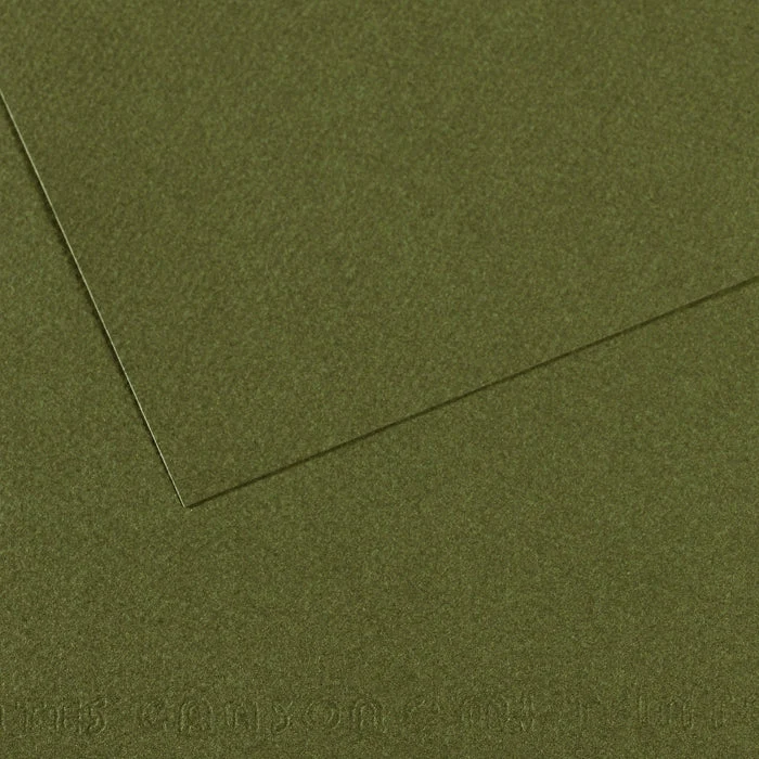 Canson Mi-Teintes χαρτί για παστέλ 50 x 65 cm 160 g 25H