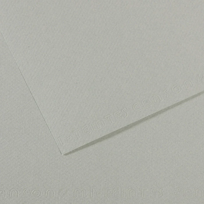 Canson Mi-Teintes Pastellpapier 50 x 65 cm 160 g 25 Blatt