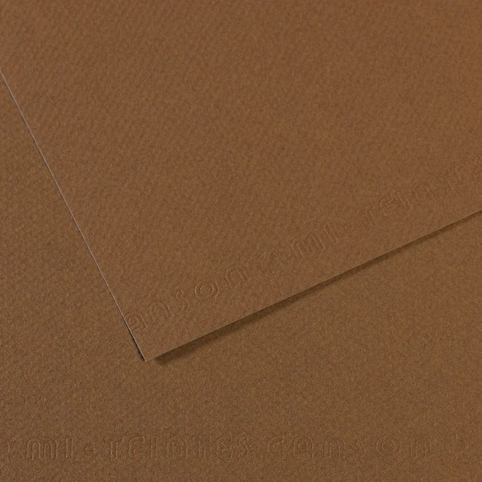 Canson Mi-Teintes papir za pastel 50 x 65 cm 160 g 25L