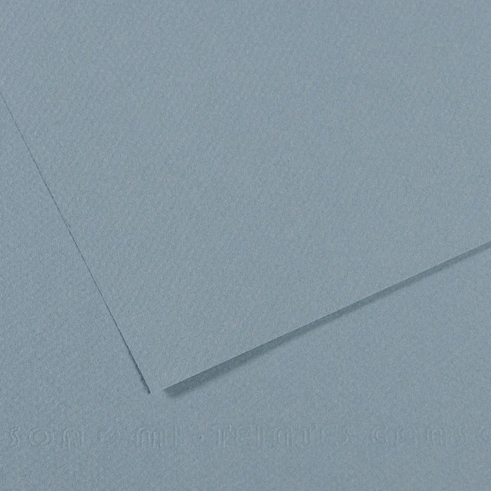 Canson Mi-Teintes papir za pastel 50 x 65 cm 160 g 25L
