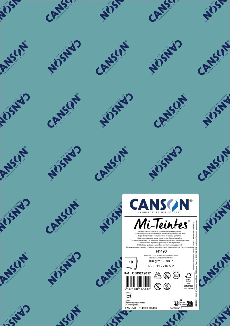 Carta per pastello Canson Mi-Teintes A3 160 g - 10 fogli