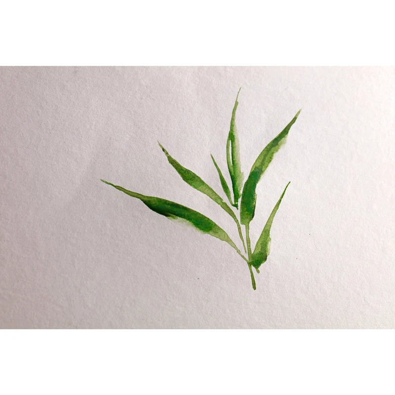 Μπλοκ ακουαρέλας CLAIREFONTAINE Bamboo CP 250 g/m² – 20 φύλλα