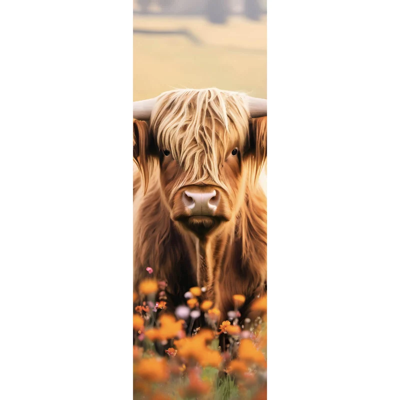 Poster Highland Rind auf der Weide Panorama Hoch