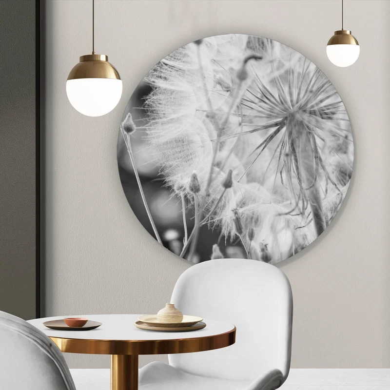 Aluminiumbild gebürstet Zarte Pusteblume in schwarz weiß Kreis