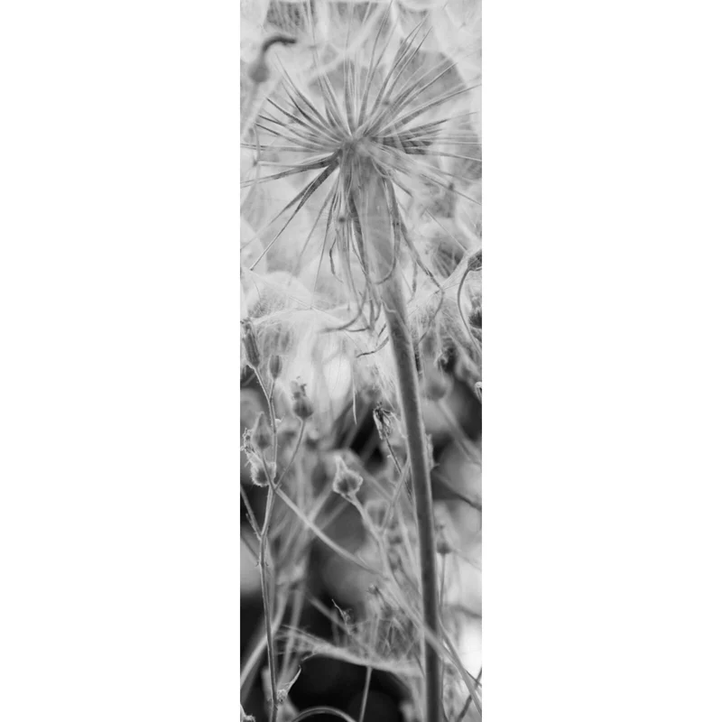 Leinwandbild Zarte Pusteblume in schwarz weiß Panorama Hoch