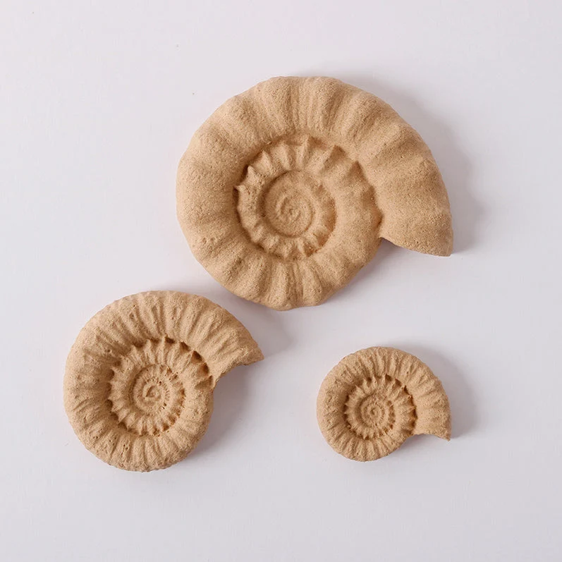 Savitljive drvene dekoracije Pentart Školjke 6,5 x 5,5 cm - 3 kom