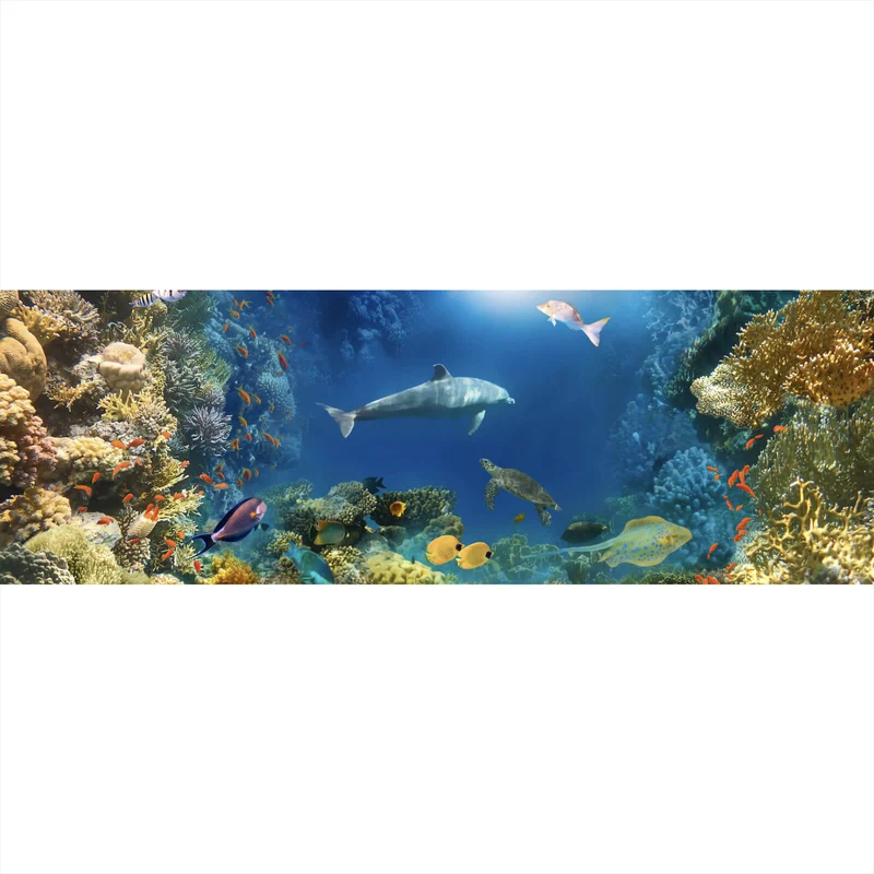 Spannrahmenbild Unterwasserwelt voller bunter Fische und Korallen Panorama
