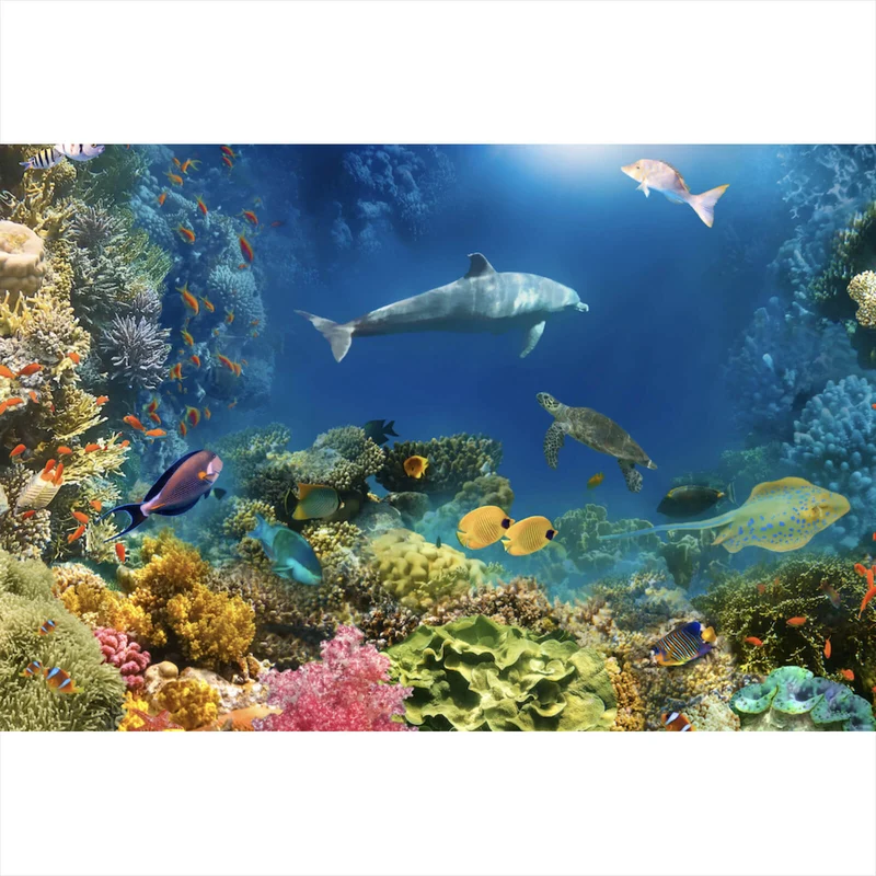 Acrylglasbild Unterwasserwelt voller bunter Fische und Korallen Querformat